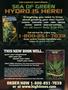 Page: - 46 | High Times