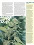 Page: - 52 | High Times