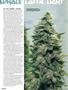 Page: - 56 | High Times