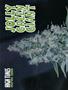 Page: - 64 | High Times