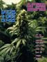 Page: - 97 | High Times