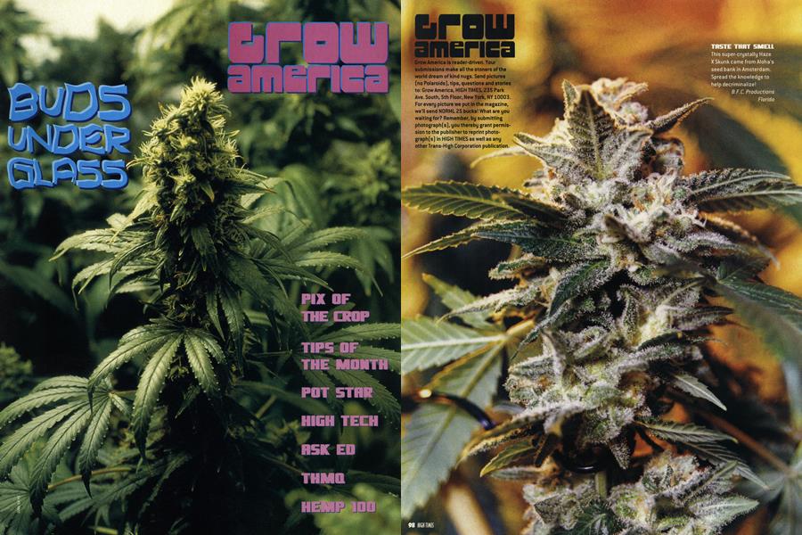 Grow america