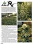 Page: - 106 | High Times