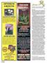 Page: - 110 | High Times