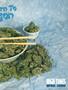 Page: - 63 | High Times