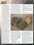 Page: - 66 | High Times