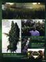Page: - 95 | High Times