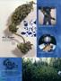 Page: - 96 | High Times