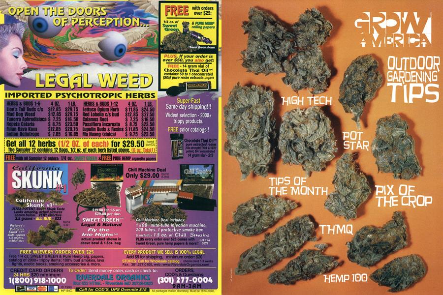 GROW AMERICA
