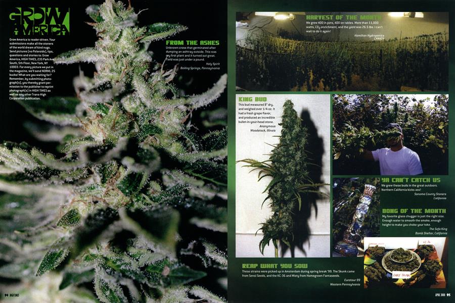 GROW AMERICA
