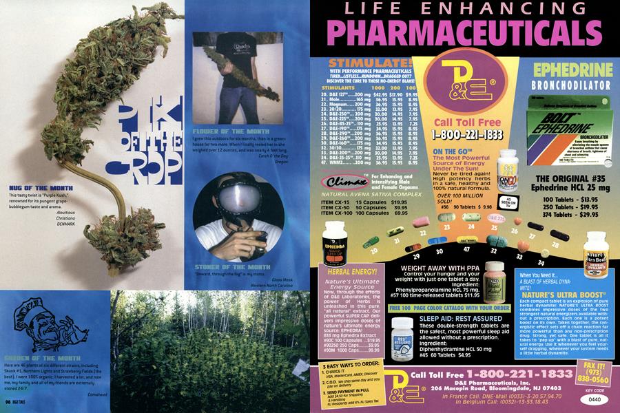 PIX OF THE CROP