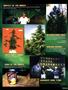 Page: - 101 | High Times