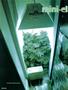 Page: - 104 | High Times