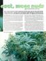 Page: - 105 | High Times