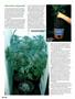 Page: - 106 | High Times
