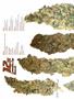 Page: - 64 | High Times