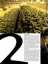 Page: - 72 | High Times