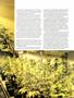 Page: - 73 | High Times