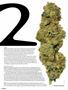 Page: - 74 | High Times