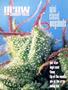 Page: - 99 | High Times