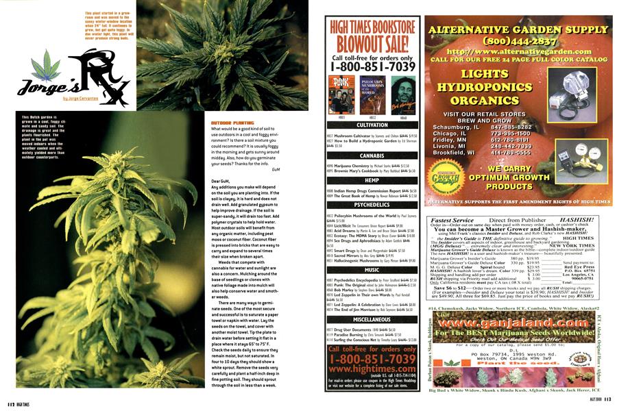 Jorge's RX