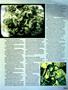 Page: - 51 | High Times