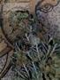 Page: - 54 | High Times