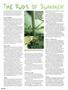 Page: - 60 | High Times