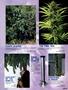 Page: - 87 | High Times