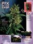 Page: - 88 | High Times