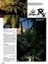 Page: - 98 | High Times