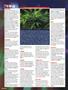 Page: - 104 | High Times