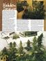 Page: - 64 | High Times