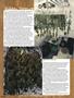 Page: - 66 | High Times