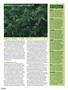 Page: - 76 | High Times