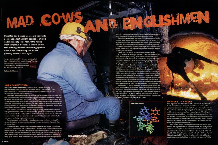 MAD COWS ENGLISHMEN