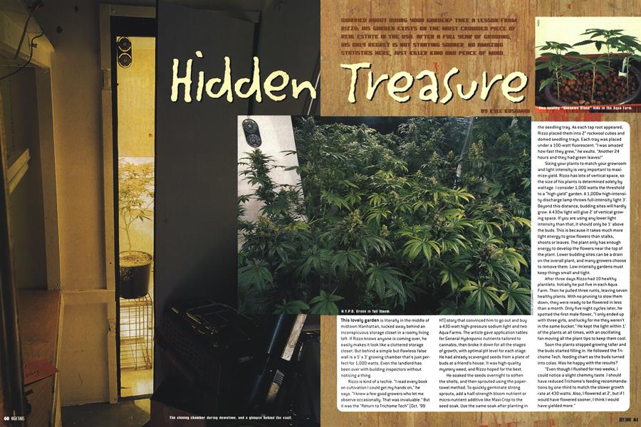 Hidden Treasure
