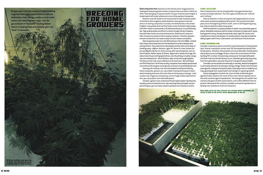 BREEDING FOR HOME GROWERS