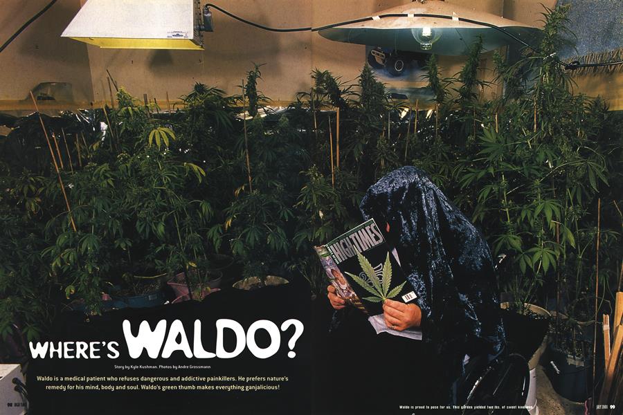 WHERE’S WALDO?