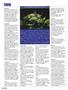 Page: - 104 | High Times