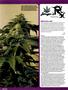 Page: - 106 | High Times