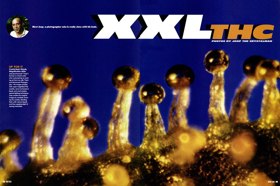 XXL THC
