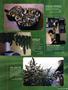 Page: - 101 | High Times