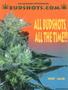 Page: - 103 | High Times