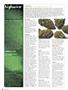 Page: - 20 | High Times