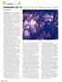 Page: - 32 | High Times