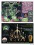 Page: - 39 | High Times