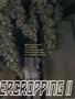 Page: - 71 | High Times