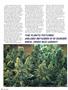 Page: - 74 | High Times