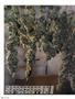 Page: - 94 | High Times